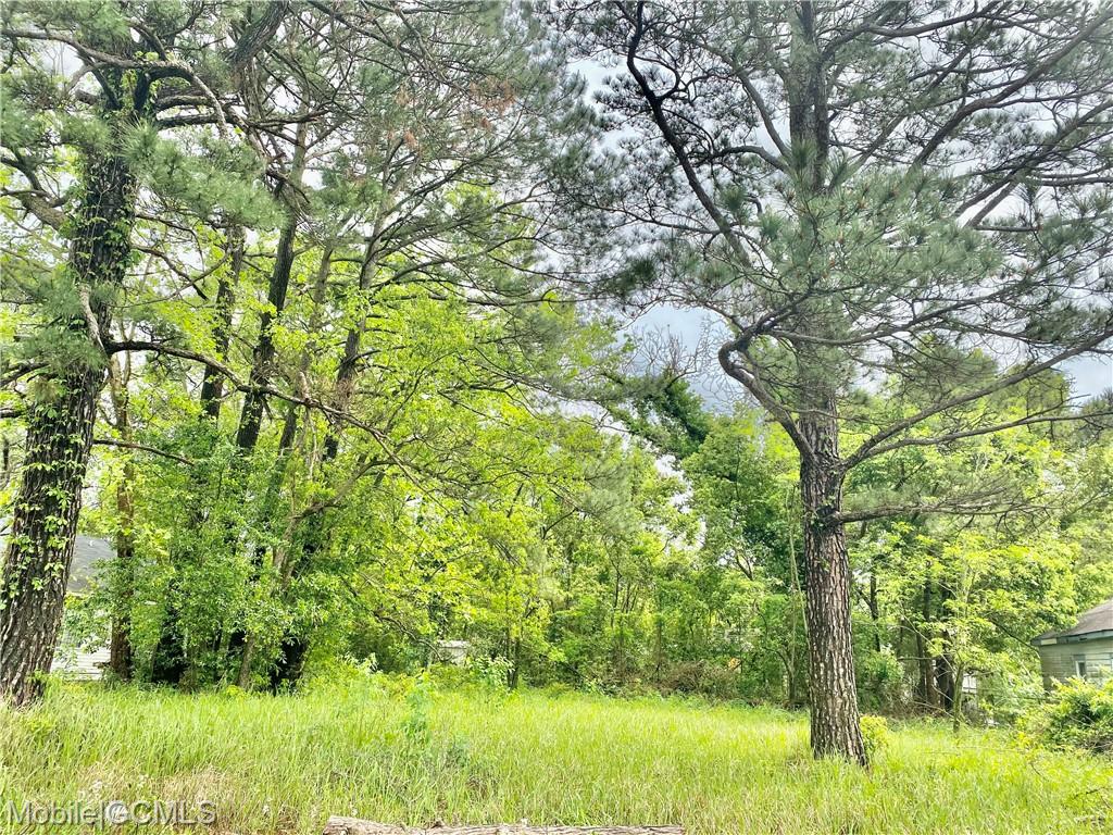 Bay Bridge Road Prichard, AL 36610